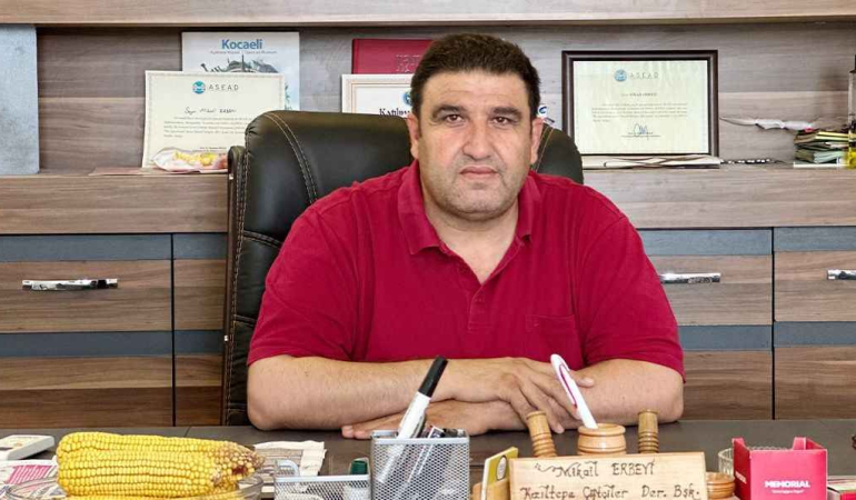 Mardin Ovası’nda mısır tepkisi: ‘Çiftçi değil, tüccar kazanıyor