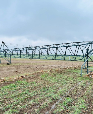 WhatsApp Image 2026-01-22 at 09.56.51