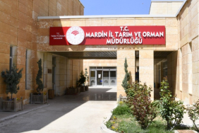 mardin taırm