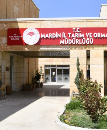 mardin taırm